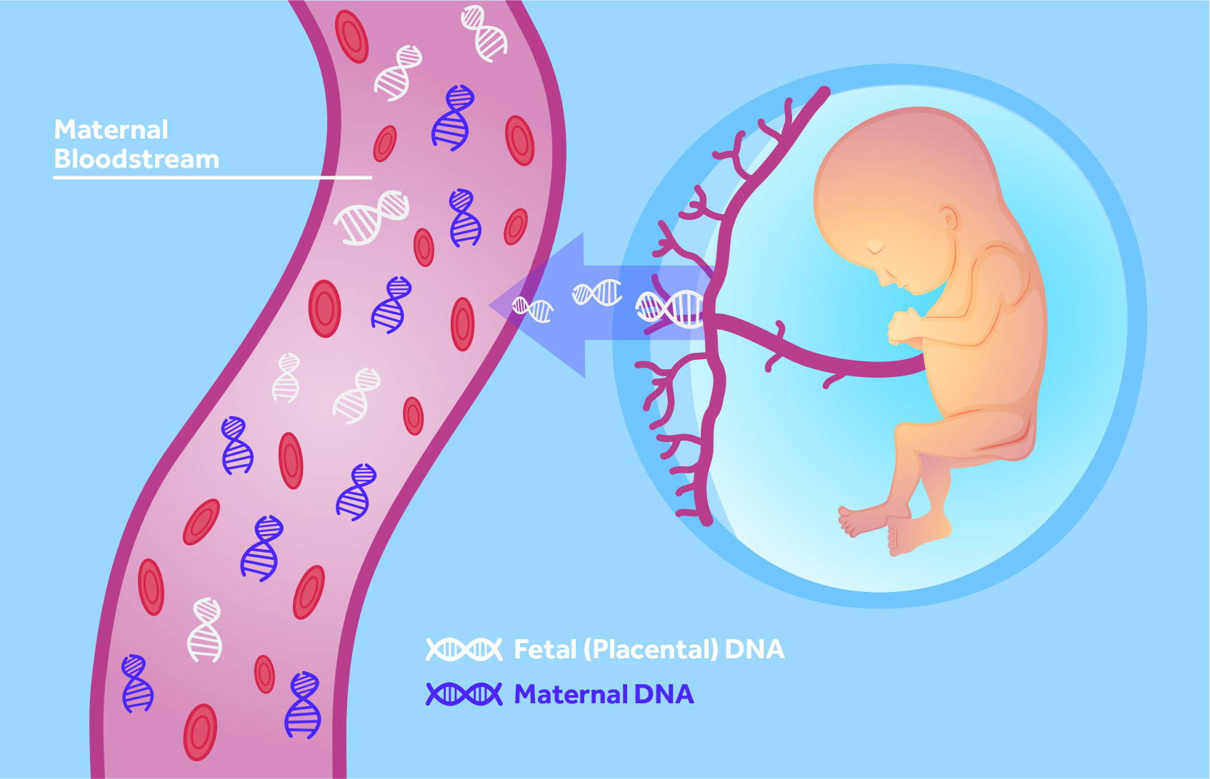 Non-invasive prenatal testing